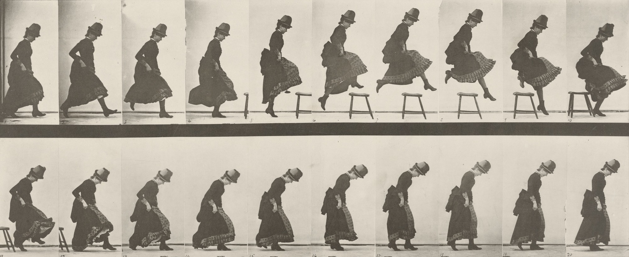 Muybridge animal movement