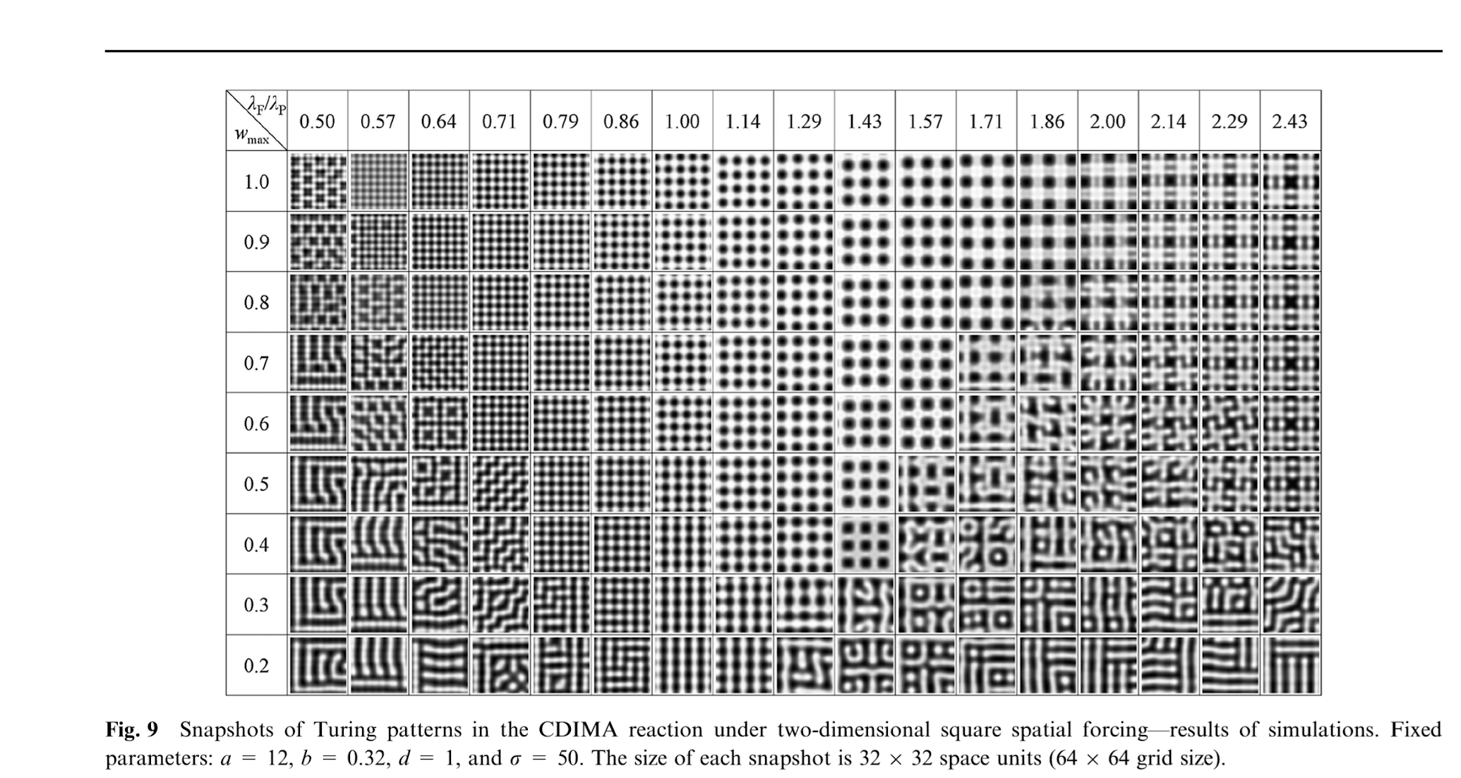 Turing Patterns